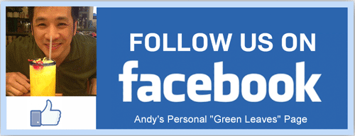 Visit Andy's Personal "Green Leaves" page.